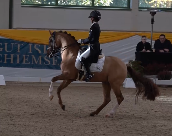 Screenshot 2025 11 05 203654